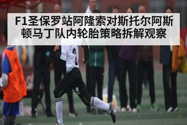 F1圣保罗站阿隆索对斯托尔阿斯顿马丁队内轮胎策略拆解观察（kaiyun.com）